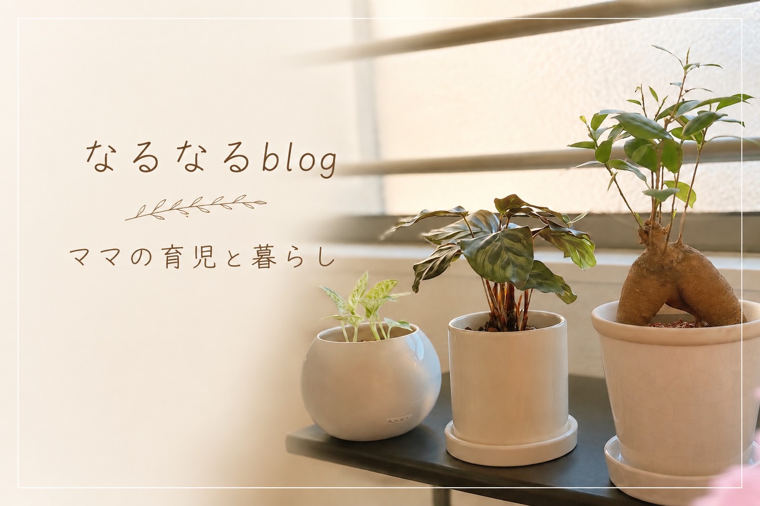 5年間の妊活体験談